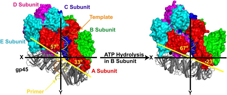 Figure 5—figure supplement 2.