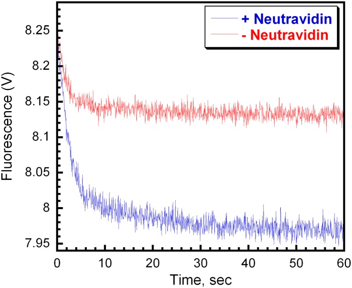 Figure 4—figure supplement 7.