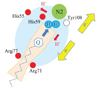 Fig. (1)