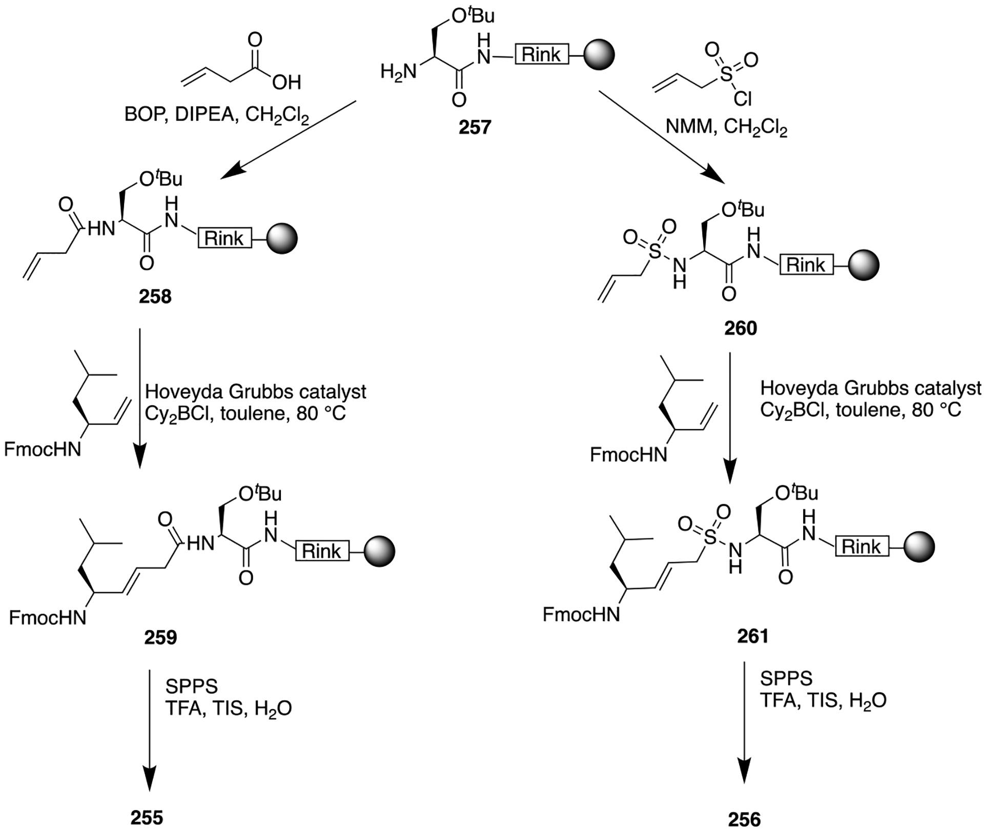 Scheme 37.