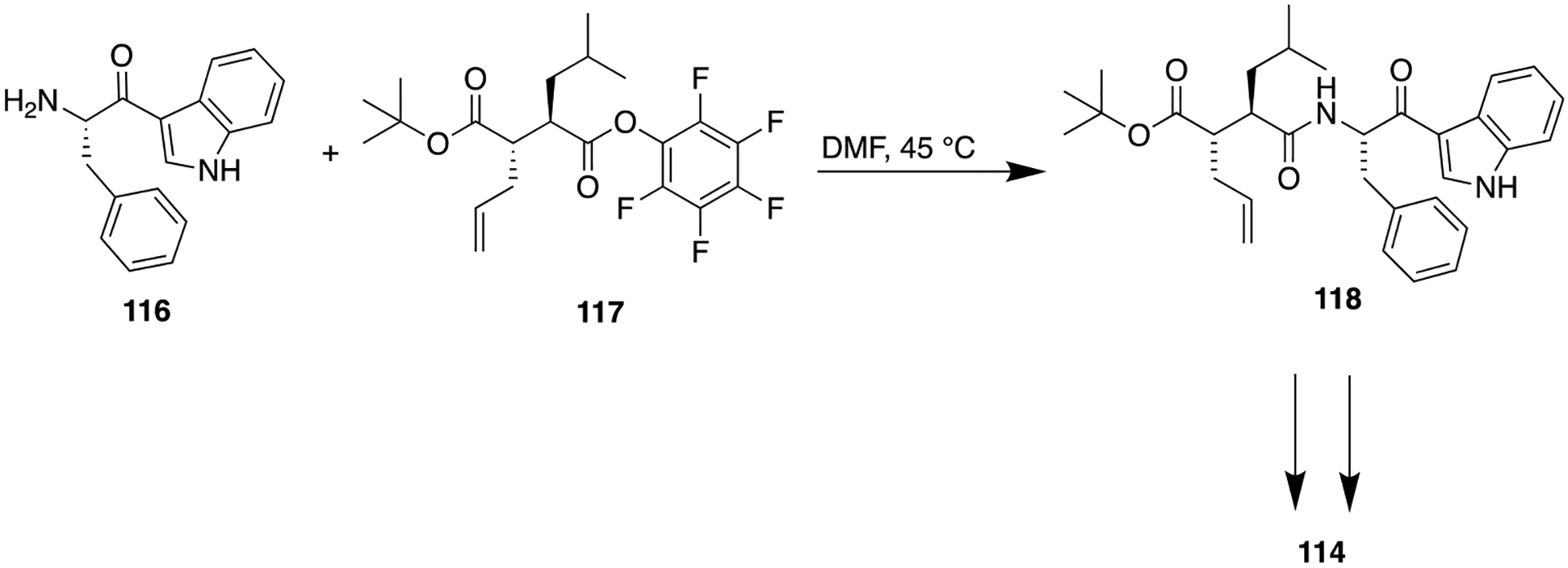 Scheme 13.