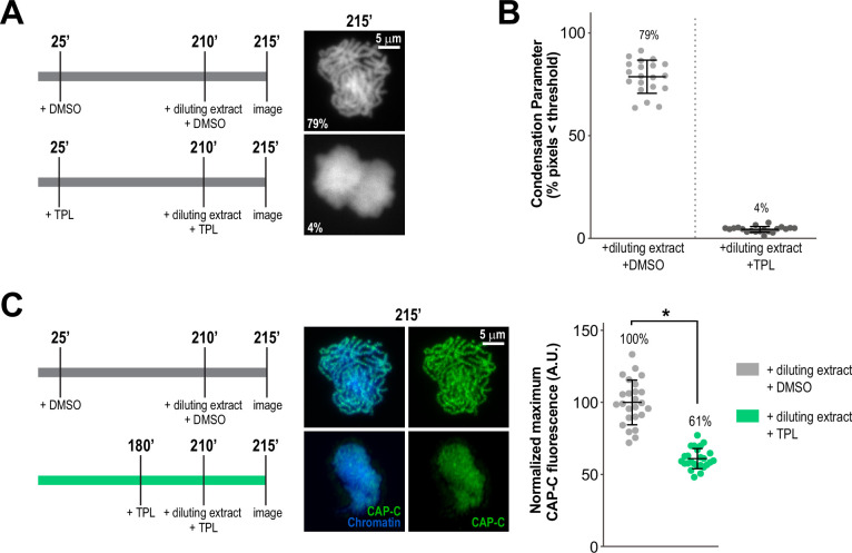 Figure 2—figure supplement 2.