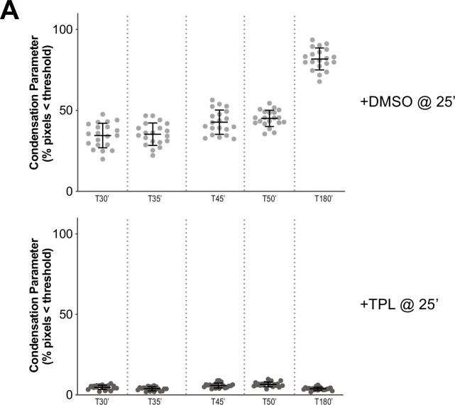 Figure 4—figure supplement 1.