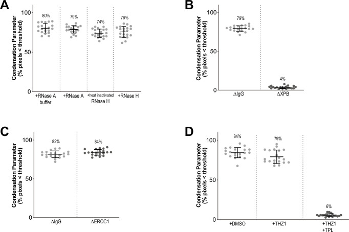 Figure 1—figure supplement 3.