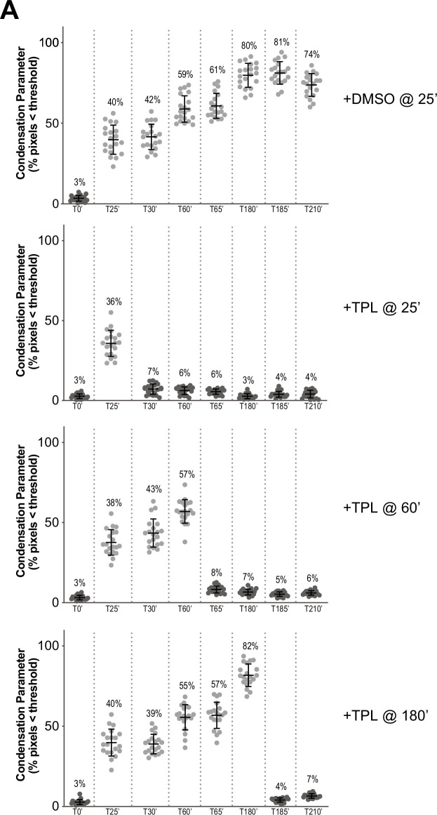 Figure 2—figure supplement 1.