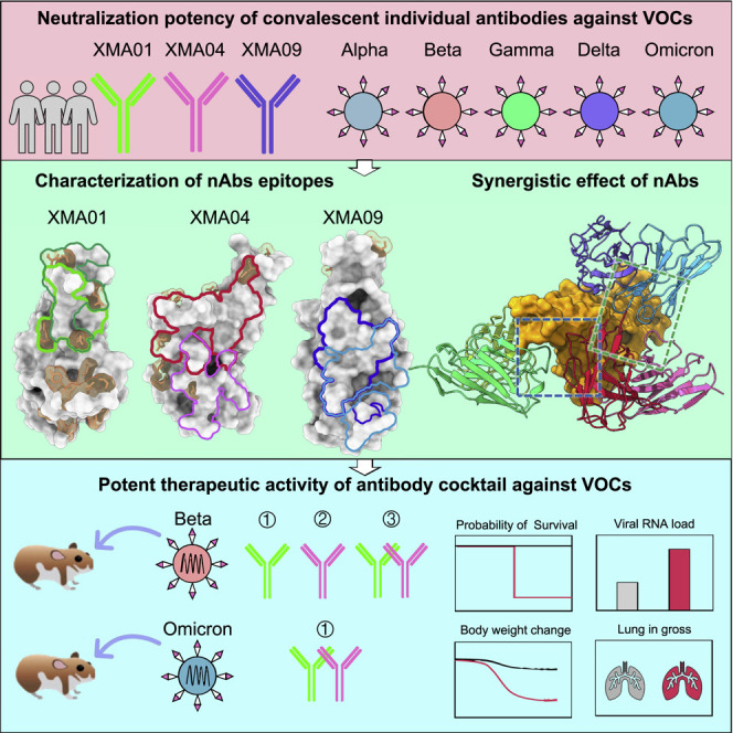 graphic file with name fx1_lrg.jpg