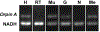 Figure 9: