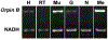 Figure 10: