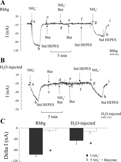 Fig. 9.