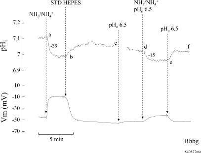 Fig. 6.