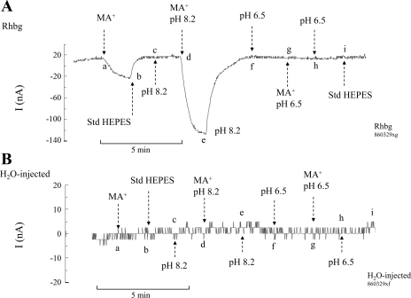 Fig. 10.