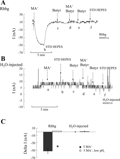 Fig. 11.