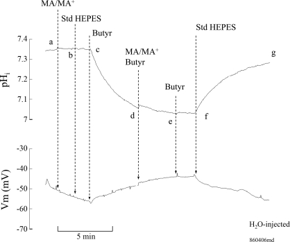 Fig. 14.