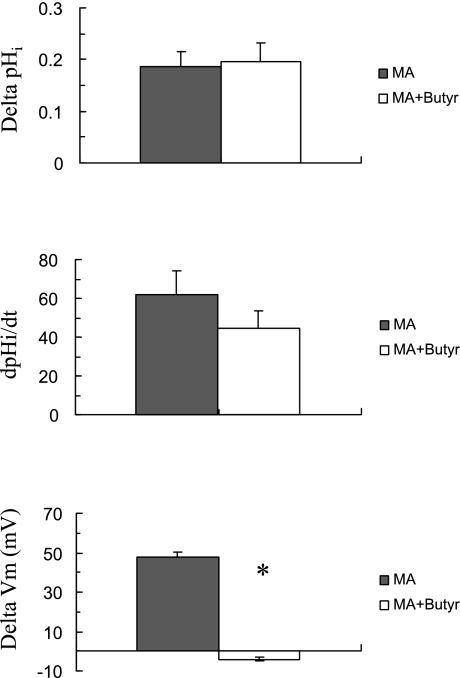 Fig. 13.