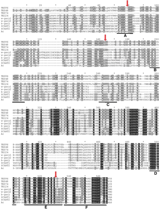 Fig. 6