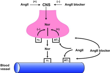 Fig. (2).