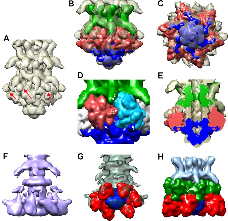 FIG 6