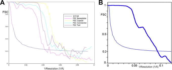 FIG 1