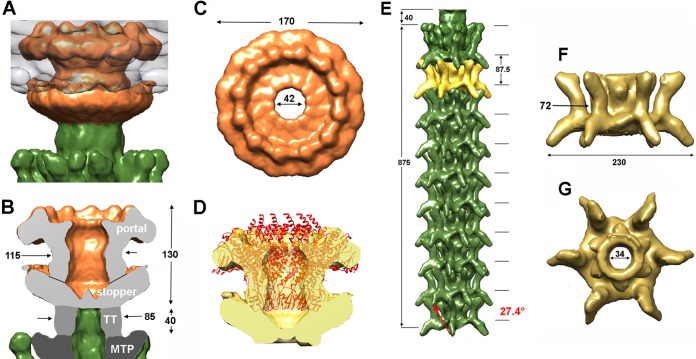 FIG 5