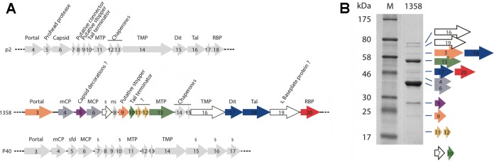 FIG 2