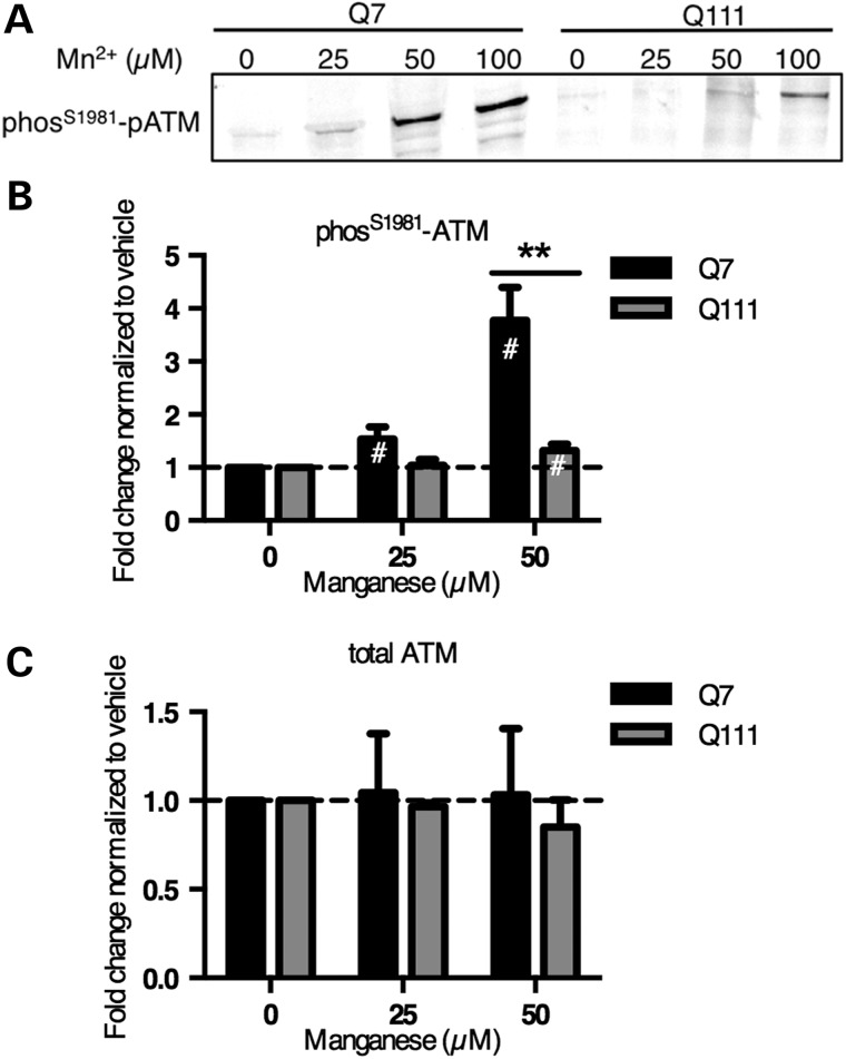 Figure 7.