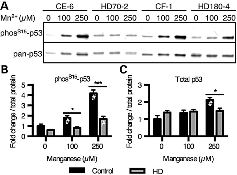 Figure 4.