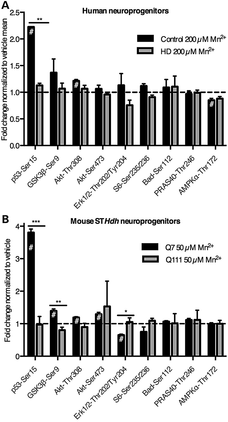 Figure 3.