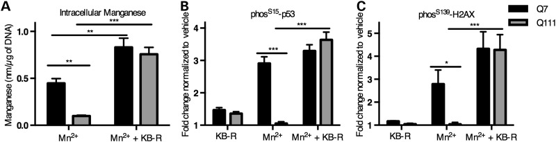 Figure 11.