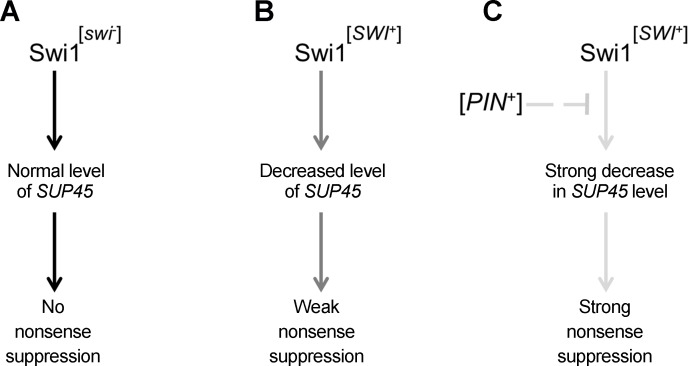 Fig 7