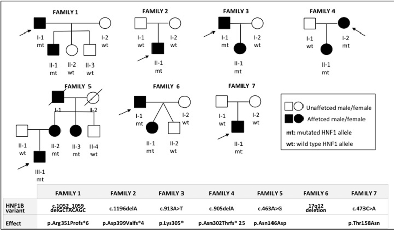 Figure 1