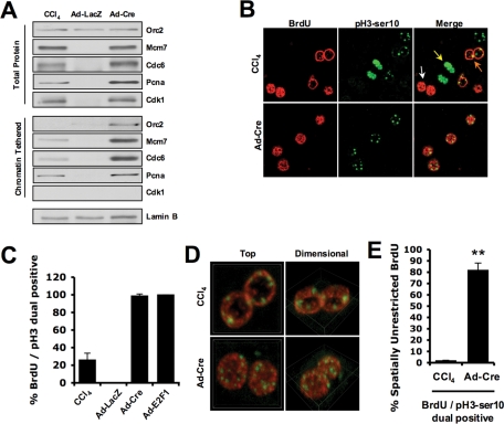 FIGURE 4: