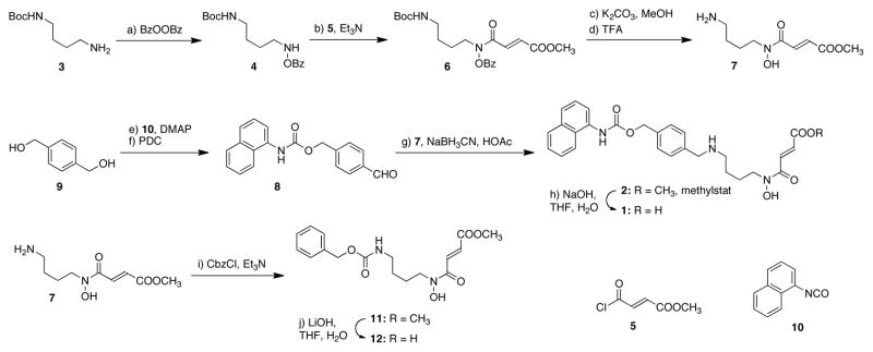 Scheme 1