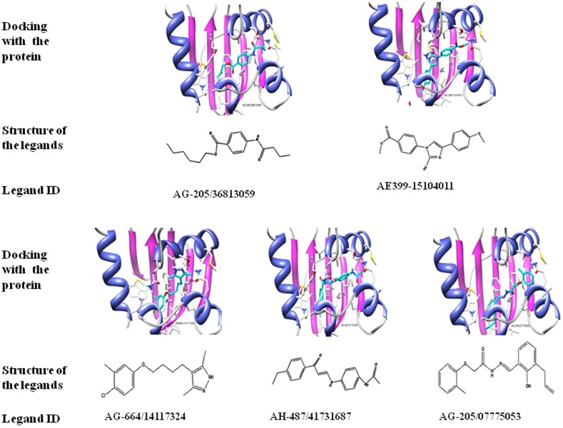 Figure 5