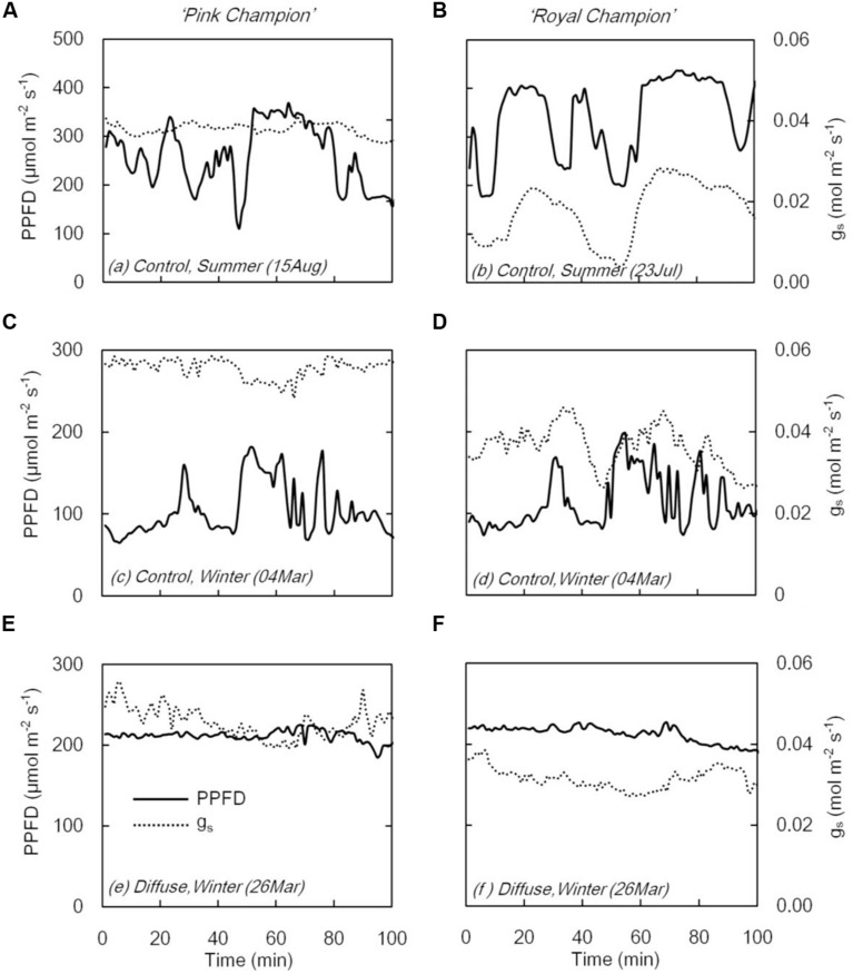 FIGURE 3