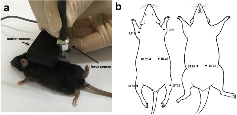 FIGURE 2