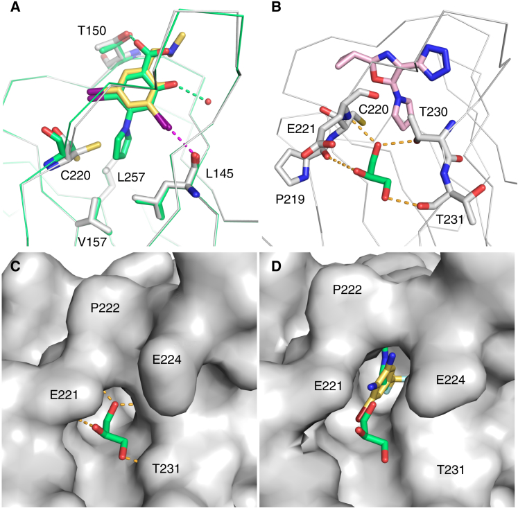 Figure 4