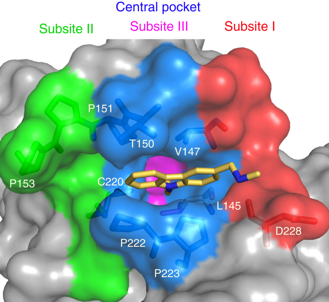 Figure 1