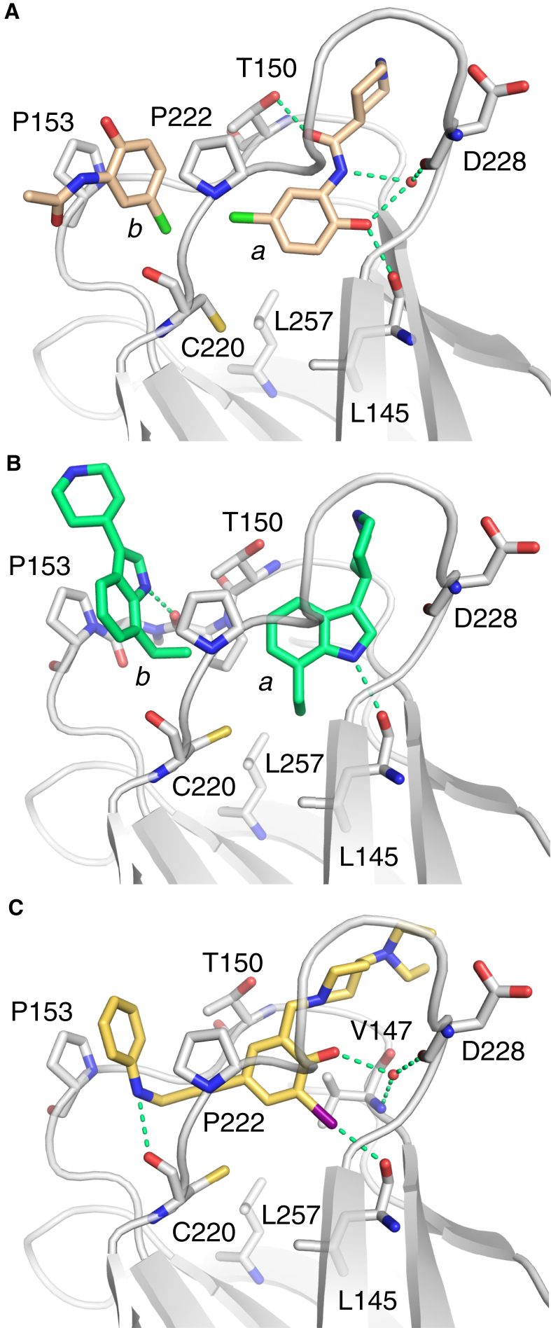 Figure 6