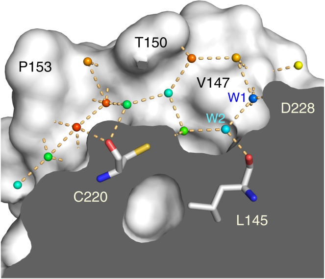 Figure 5