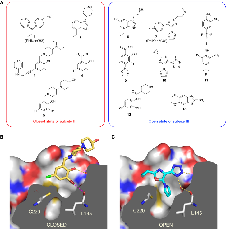 Figure 2