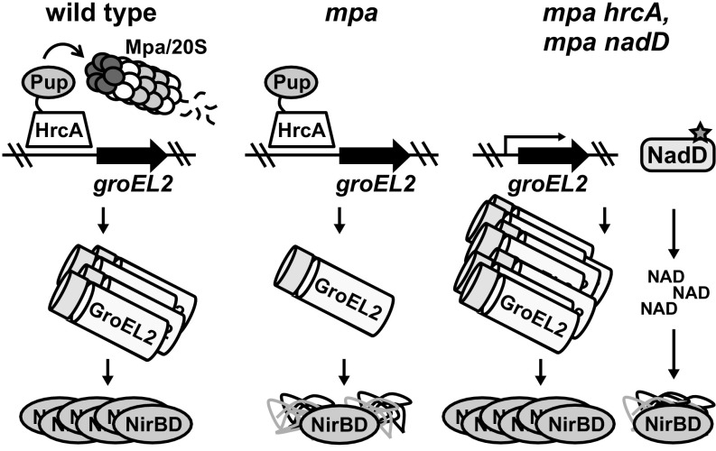 Fig. 6.