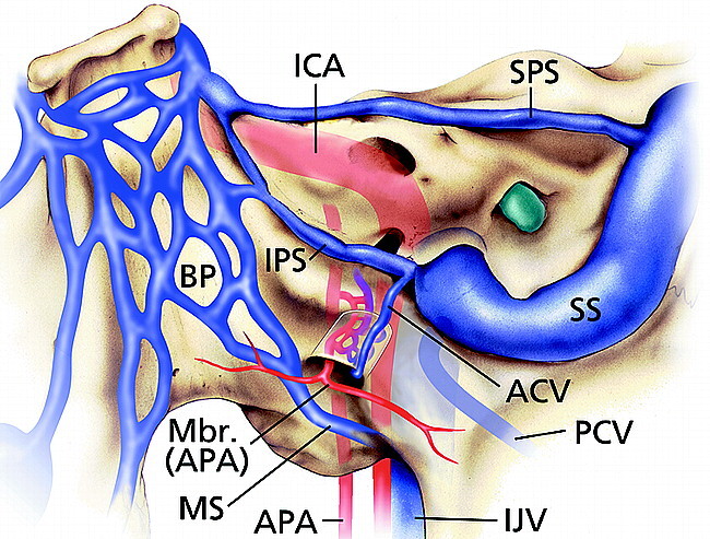 fig 3.