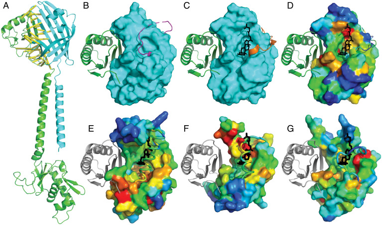 Fig. 4.