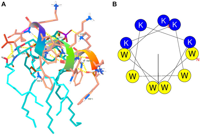 FIGURE 9