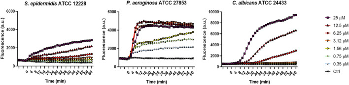 FIGURE 2