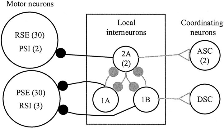 Figure 10.