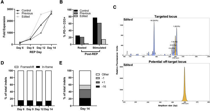 Figure 5