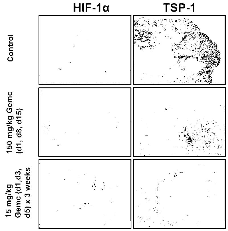 Fig. 14.2