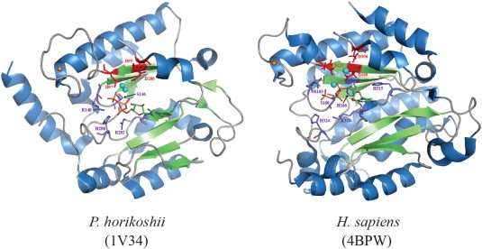 Fig. 7