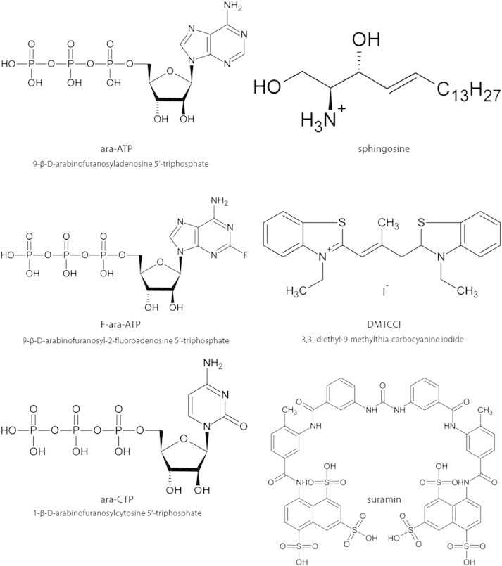 Fig. 9